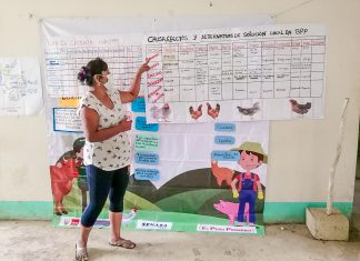 Escuelas de campo seguirán llevando aprendizajes a comunidades más alejadas de Amazonas