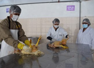 Autorizan nuevo centro de faenamiento avícola en Cusco