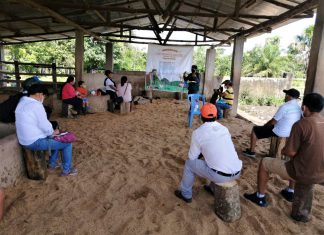 Agricultura familiar de Huánuco se beneficiará con la implementación de nuevas Escuelas de Campo