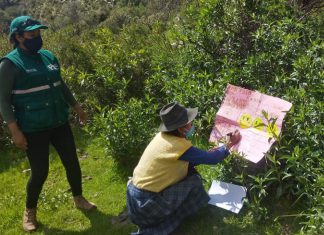 Implementan 25 Escuelas de Campo para potenciar agricultura familiar en Apurímac