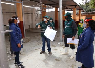 Mataderos de Lambayeque renovarán su infraestructura para producción de alimentos cárnicos inocuos