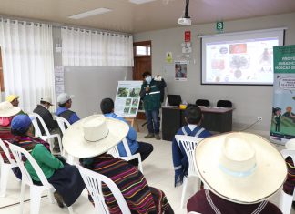 Apurímac: Senasa refuerza adiestramiento de productores en control integrado de mosca de la fruta