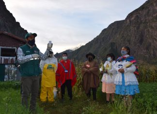Cusco: SENASA empoderará a más de 600 productores en Buenas Prácticas Agrícolas y Ganaderas