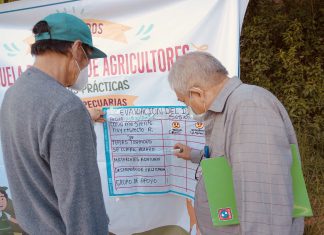 Pasco: Senasa implementará las Buenas Prácticas Agrícolas y Pecuarias en la producción de alimentos