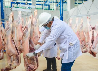 Áncash: Huallanca contará con moderno matadero municipal autorizado por Senasa