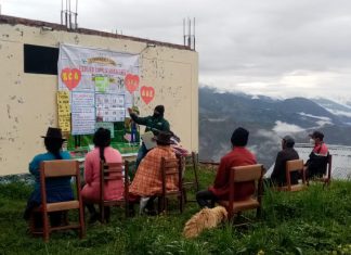 Escuela de campo del Senasa fortalecerá conocimientos de productores de quinua en Ayacucho