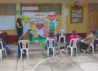 Apurímac: Pequeños productores mejoran prácticas de cultivo en Escuelas de Campo del Senasa