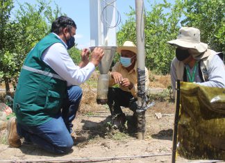 Arequipa: Manejo integrado de plagas la clave para una agricultura sostenible