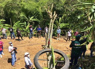 MIDAGRI capacita a productores de pitahaya para manejo integrado de plagas