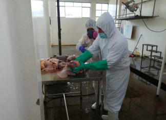 VRAEM: SENASA impulsa implementación de moderno matadero municipal en Kimbiri
