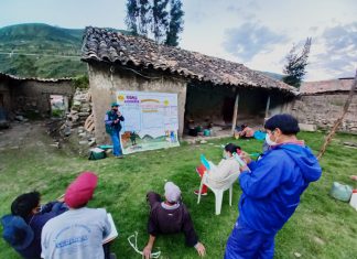 Apurímac: Productores de papa de Chalhuanca fortalecen capacidades en Escuelas de Campo