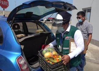Acciones cuarentenarias en Puesto de Control de Asia resguardan fruticultura en regiones del sur del país