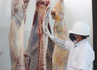 SENASA gestiona la implementación de mataderos municipales en Arequipa