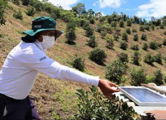 Junín: SENASA implementa trampas de luz en Valles Interandinos