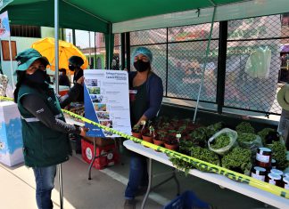 SENASA promueve la implementación de medidas sanitarias en mercados itinerantes