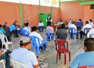 MIDAGRI acordó acciones conjuntas con productores de banano y plátano para evitar la dispersión de Fusarium R4T en Piura