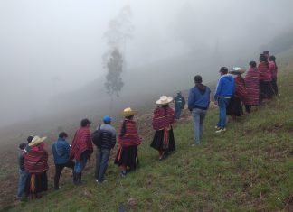 Lambayeque: Comunidades quechua hablantes fortalecen producción de cultivos andinos