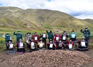 SENASA reconoce a productores de Cusco como expertos en Manejo Integrado de Plagas