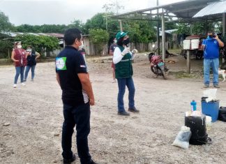 Ucayali: SENASA articula acciones para el control y erradicación del Caracol Gigante Africano en Padre Abad