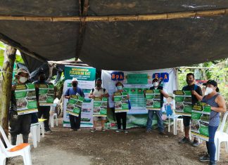 Escuelas de campo del SENASA contribuyen con la protección de cultivos de banano y plátano en Piura