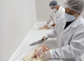 Arequipa: Realizan monitoreo de alimentos agropecuarios para determinar su condición sanitaria