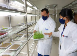 MIDAGRI: Perú implementa Laboratorio Oficial de Análisis de Semillas