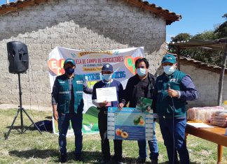 Ayacucho: Más de 400 productores se gradúan en Buenas Prácticas Agrícolas