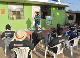 La Libertad: Comités de Sanidad Agraria inician operaciones para erradicación de Mosca de la Fruta