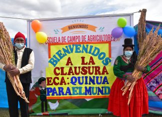 MIDAGRI fortalece manejo de cultivos priorizados en Puno