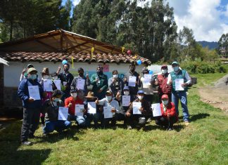 Áncash: Reconocen a productores de Chacas como expertos en Manejo Integrado de pagas en cultivo de papa