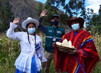 Cusco: Más de 500 productores de la agricultura familiar se gradúan en Escuelas de Campo del SENASA