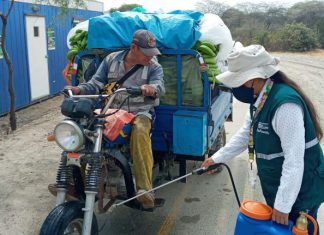 Piura: Estrategias fitosanitarias permanentes evitan la dispersión del Fusarium R4T