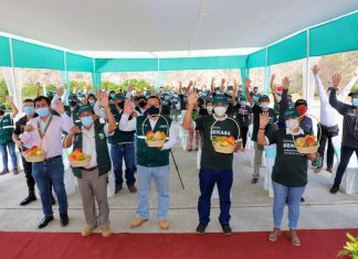 MIDAGRI: Inicia etapa de supresión y control de mosca de la fruta en Amazonas