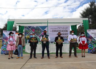 SENASA inicia acciones de control y erradicación de moscas de la fruta en Apurímac