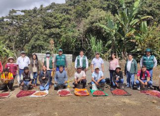 Huancavelica: SENASA participa en el I Festival de café de altura en Tayacaja