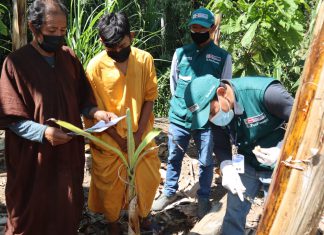 Junín: Comunidades nativas participan de jornadas de sensibilización sobre prevención del Fusarium R4T