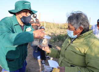 Ica: Promueven manejo integrado de plagas mediante uso de controladores biológicos
