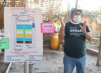 Más de 300 pequeños productores del valle de Ica mejoran sus prácticas agrícolas y pecuarias