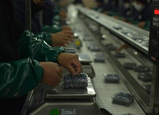 Control de moscas de la fruta consolidará a La Libertad como una de las principales regiones agroexportadoras del país