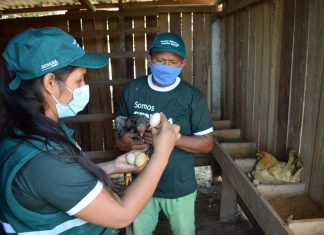 SENASA: Buenas prácticas pecuarias mejorarán producción avícola en Madre de Dios