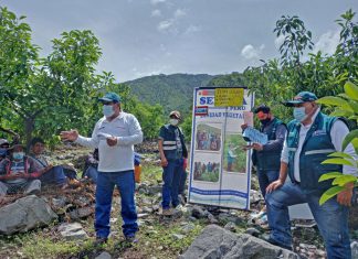 Gobiernos locales de Apurímac declaran como prioridad la erradicación de las moscas de la fruta mediante ordenanzas municipales