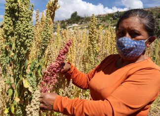 MIDAGRI anuncia la creación del Sello nacional de producción orgánica para mejorar la competitividad del sector en el país