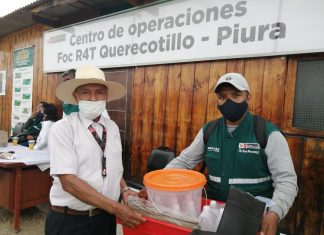 Piura: Refuerzan medidas para evitar la dispersión del Fusarium R4T en cultivos de banano