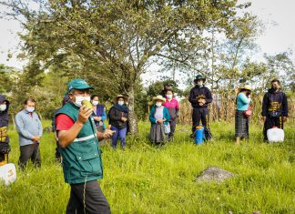 Cajamarca: Aprueban Ordenanza Regional que prioriza erradicación de la mosca de la fruta