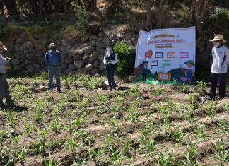 Inicia nuevo ciclo de fortalecimiento de la Agricultura familiar en Puno