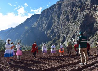 SENASA fortalece las capacidades agrícolas y pecuarias de más de 23 mil pequeños productores del bicentenario