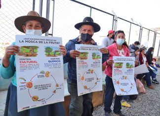 Campañas de concientización del SENASA promueve la comercialización y el consumo de frutas sanas