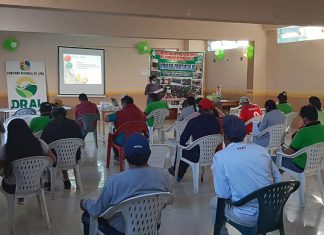 Productores de Yauyos fortalecen capacidades en Buenas Prácticas Agrícolas para la producción de frutas y hortalizas frescas