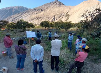 Productores de Yauyos implementarán Buenas Prácticas Agrícolas mediante Escuelas de campo