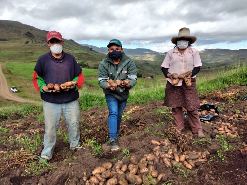 La Libertad: SENASA fomenta la producción de alimentos sanos e inocuos ...